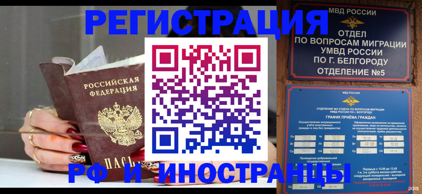 прописка в Губкинском